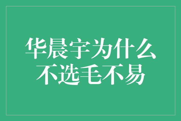 华晨宇为什么不选毛不易