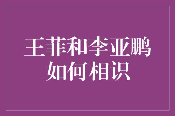 王菲和李亚鹏如何相识