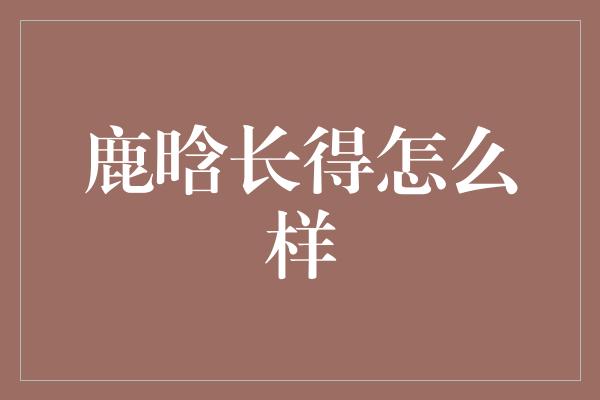 鹿晗长得怎么样