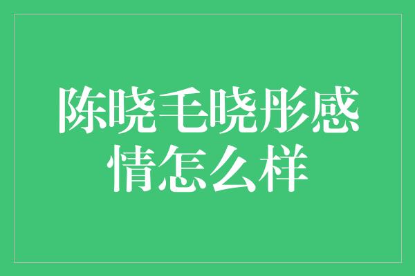 陈晓毛晓彤感情怎么样