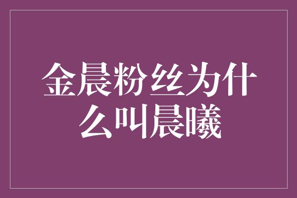 金晨粉丝为什么叫晨曦