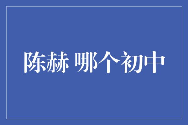 陈赫 哪个初中