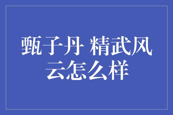 甄子丹 精武风云怎么样