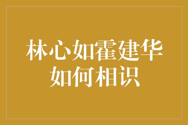 林心如霍建华如何相识