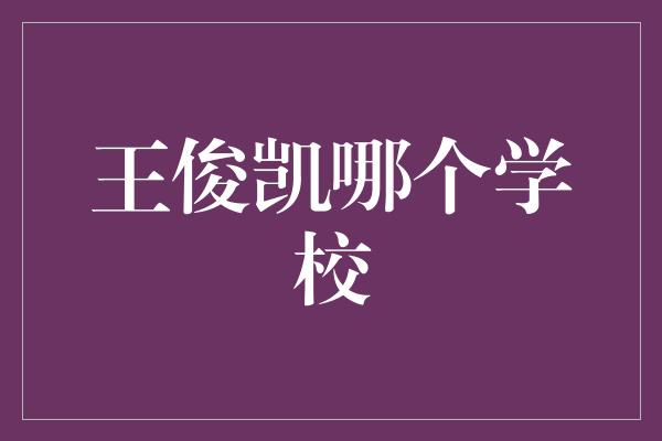 王俊凯哪个学校