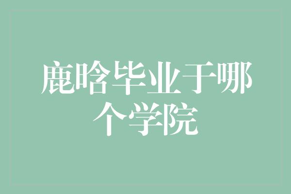 鹿晗毕业于哪个学院