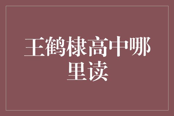 王鹤棣高中哪里读