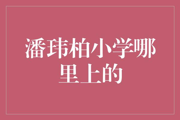 潘玮柏小学哪里上的