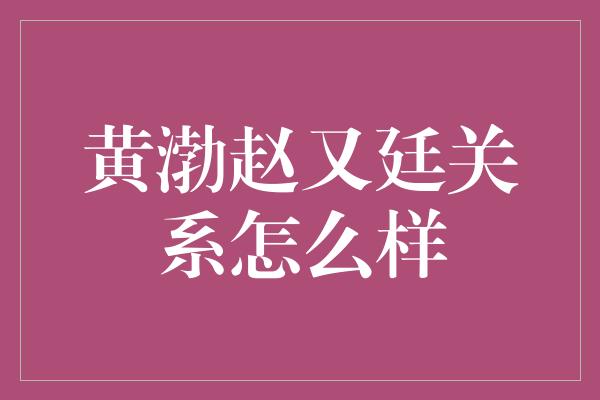 黄渤赵又廷关系怎么样