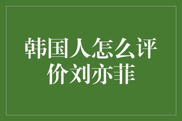 韩国人怎么评价刘亦菲