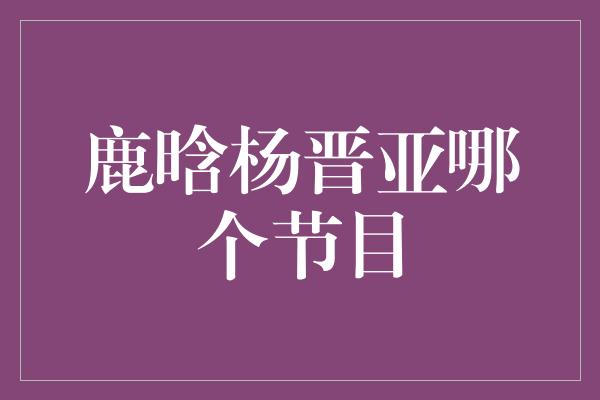 鹿晗杨晋亚哪个节目