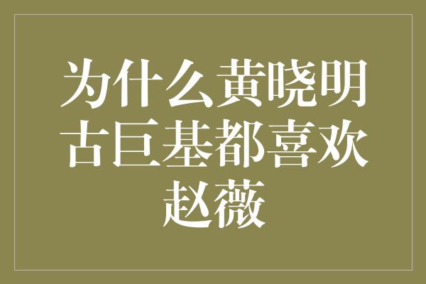 为什么黄晓明古巨基都喜欢赵薇