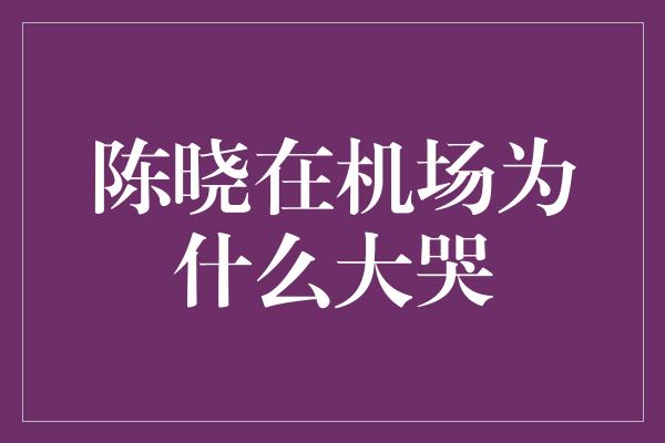 陈晓在机场为什么大哭