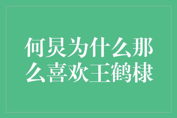 何炅为什么那么喜欢王鹤棣