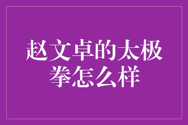 赵文卓的太极拳怎么样