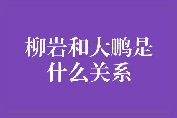 柳岩和大鹏是什么关系