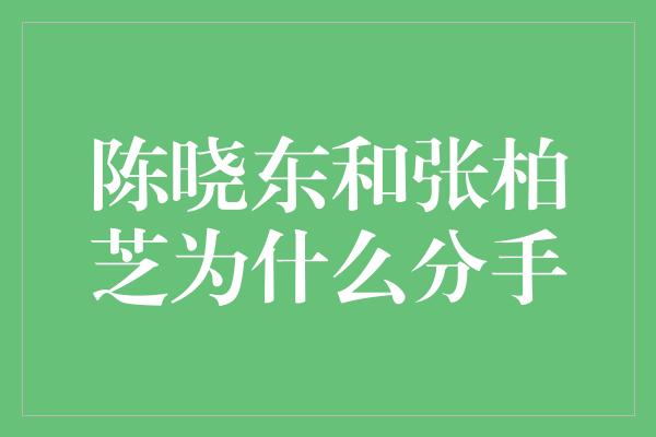 陈晓东和张柏芝为什么分手