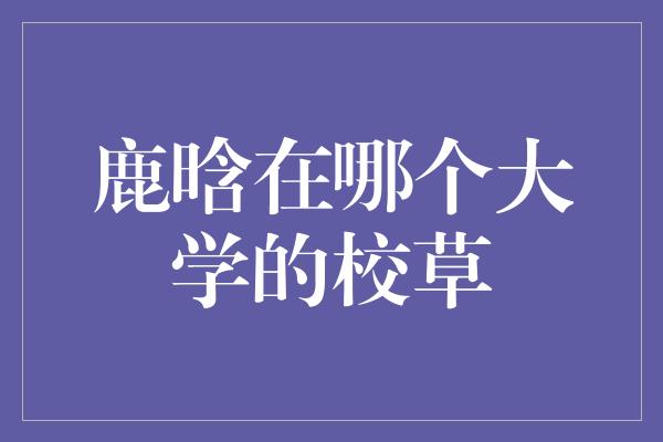 鹿晗在哪个大学的校草