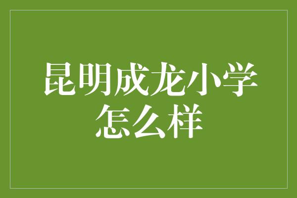 昆明成龙小学怎么样