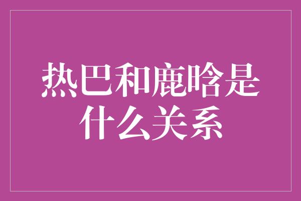 热巴和鹿晗是什么关系