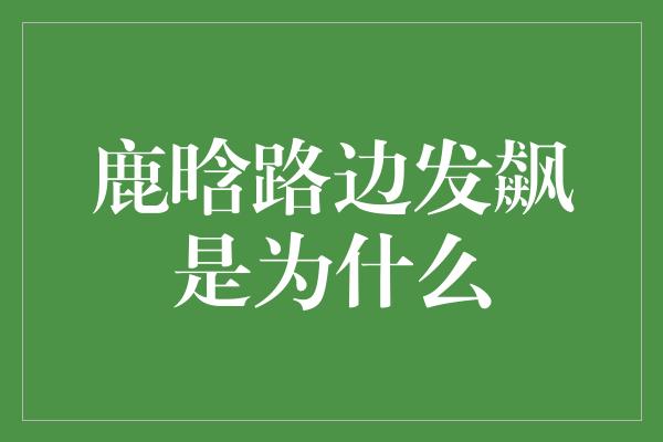 鹿晗路边发飙是为什么