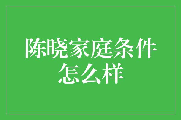 陈晓家庭条件怎么样