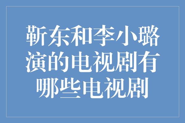 靳东和李小璐演的电视剧有哪些电视剧