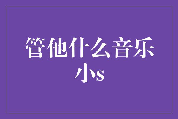 管他什么音乐小s