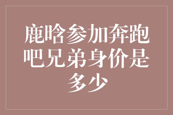 鹿晗参加奔跑吧兄弟身价是多少