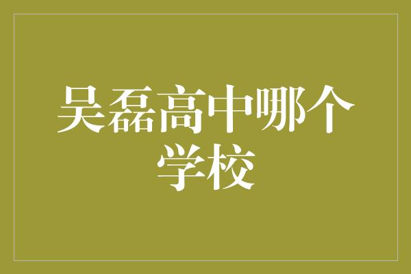 吴磊高中哪个学校