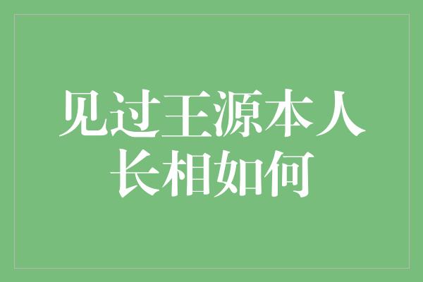 见过王源本人长相如何