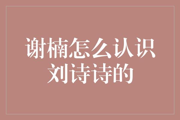 谢楠怎么认识刘诗诗的