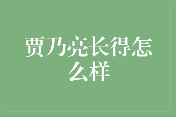 贾乃亮长得怎么样