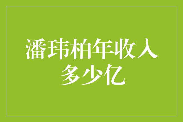 潘玮柏年收入多少亿