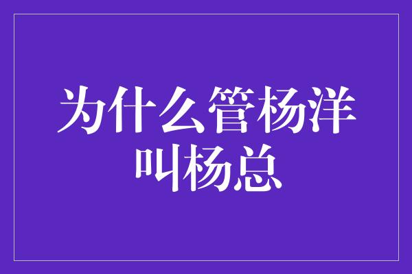 为什么管杨洋叫杨总