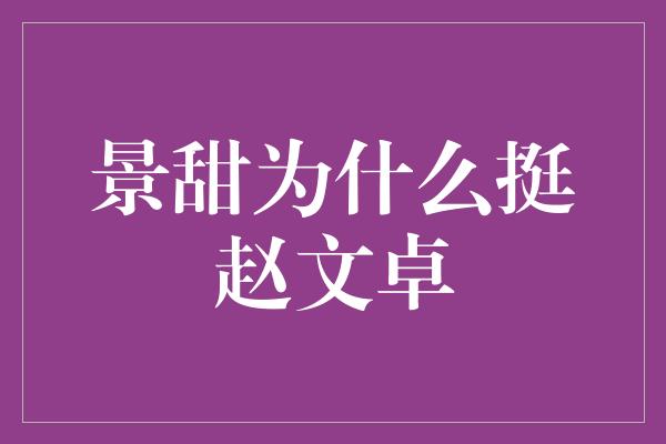 景甜为什么挺赵文卓