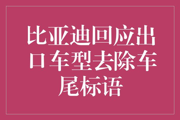 比亚迪回应出口车型去除车尾标语