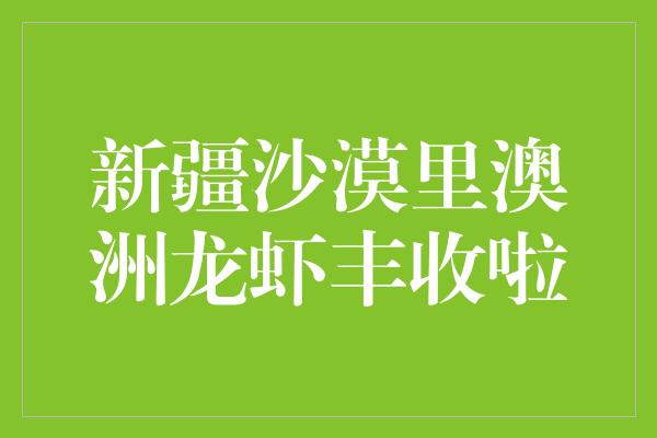 新疆沙漠里澳洲龙虾丰收啦