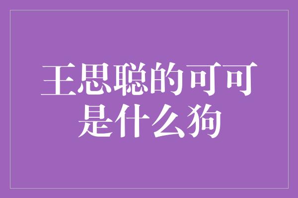 王思聪的可可是什么狗