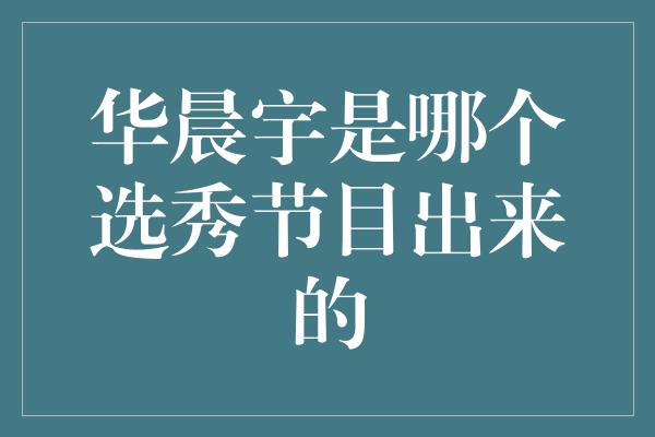 华晨宇是哪个选秀节目出来的