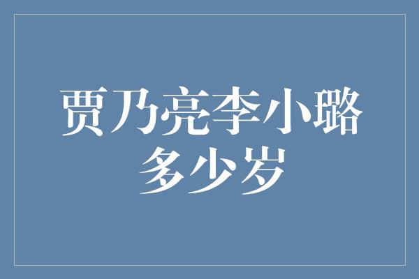 贾乃亮李小璐多少岁