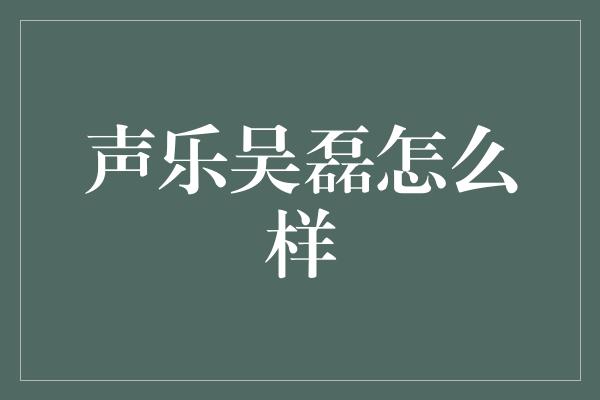 声乐吴磊怎么样