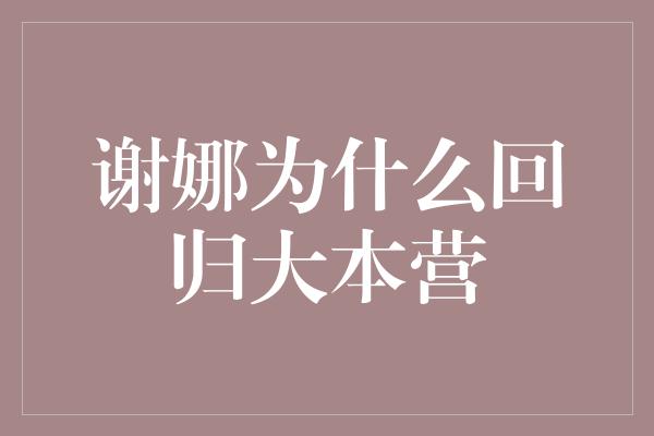 谢娜为什么回归大本营