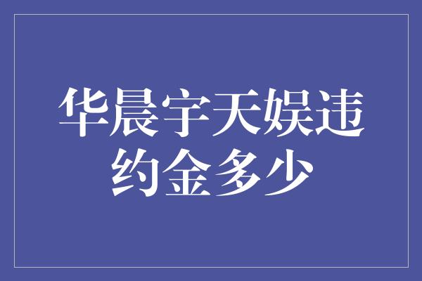 华晨宇天娱违约金多少