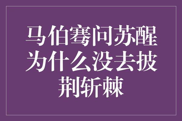 马伯骞问苏醒为什么没去披荆斩棘