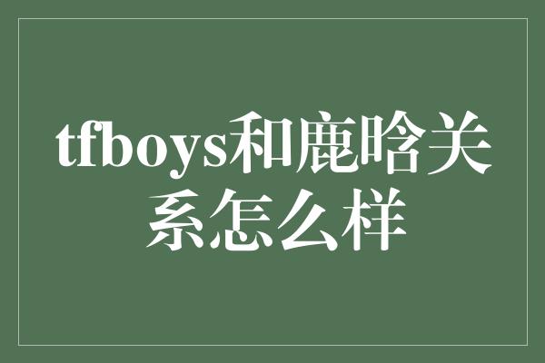 tfboys和鹿晗关系怎么样