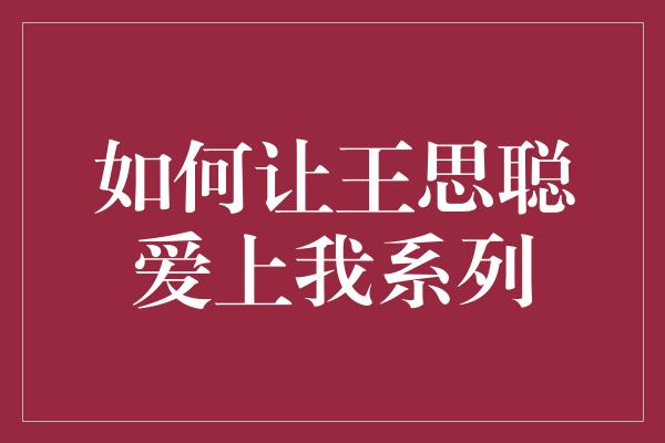 如何让王思聪爱上我系列