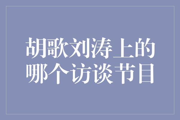 胡歌刘涛上的哪个访谈节目