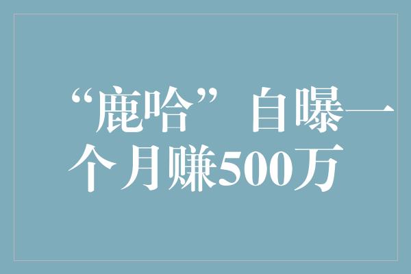 “鹿哈”自曝一个月赚500万