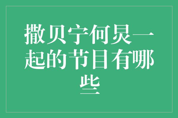 撒贝宁何炅一起的节目有哪些